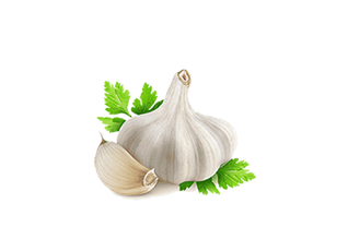 Premium-quality fresh garlic vegetables ingredients, Superfoods Gourmet